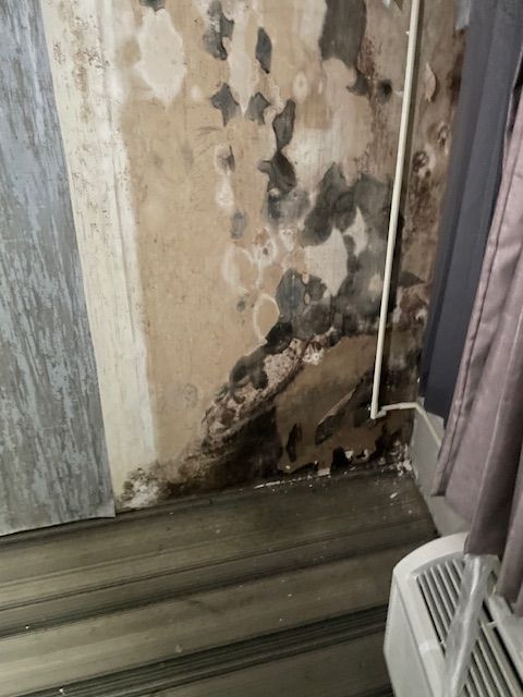 Mold damage on a corner wall, peeling paint, dark stains, near a baseboard and ventilation.