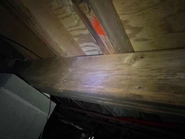 Wooden beams and plywood above, possibly a crawl space or basement ceiling.