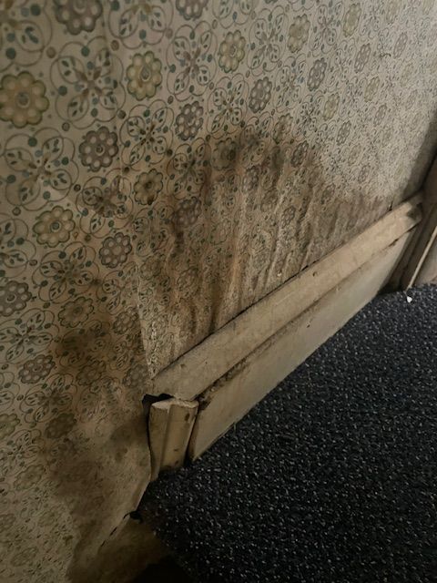 Moldy fabric on a wall and wooden frame, with a dark carpet in the foreground.