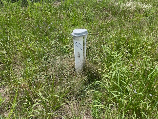 White pipe with gray cap in tall grass.