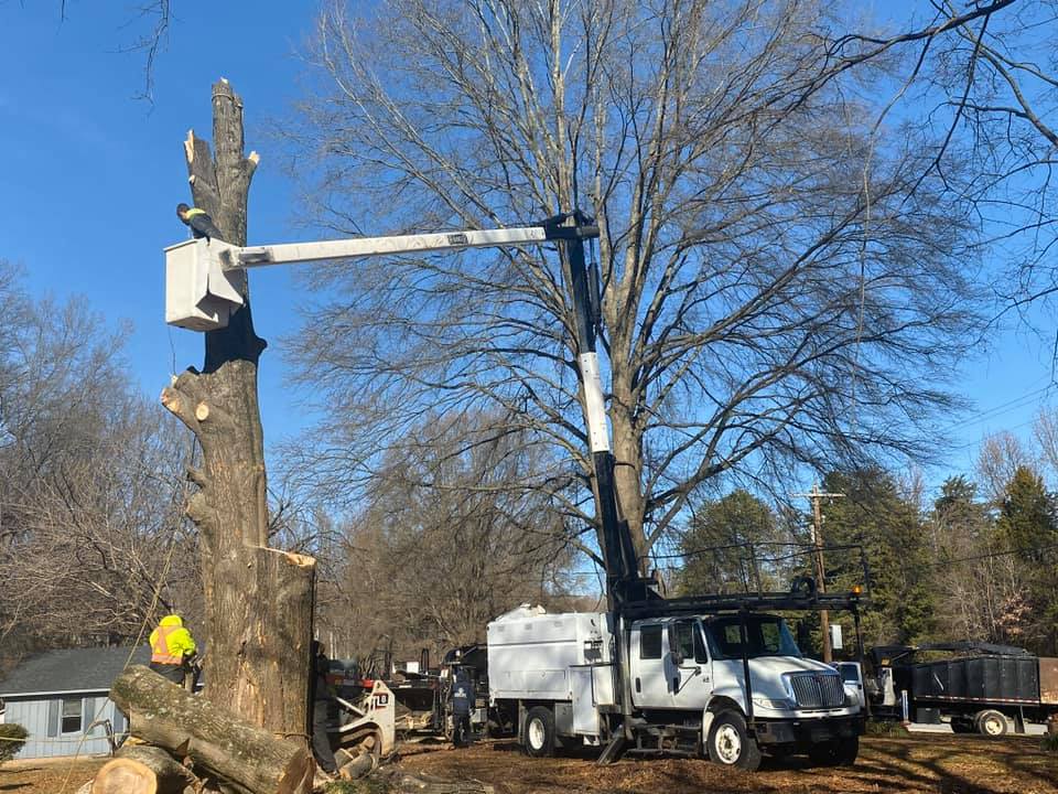 God's Way Tree Service Arborist Greensboro, NC