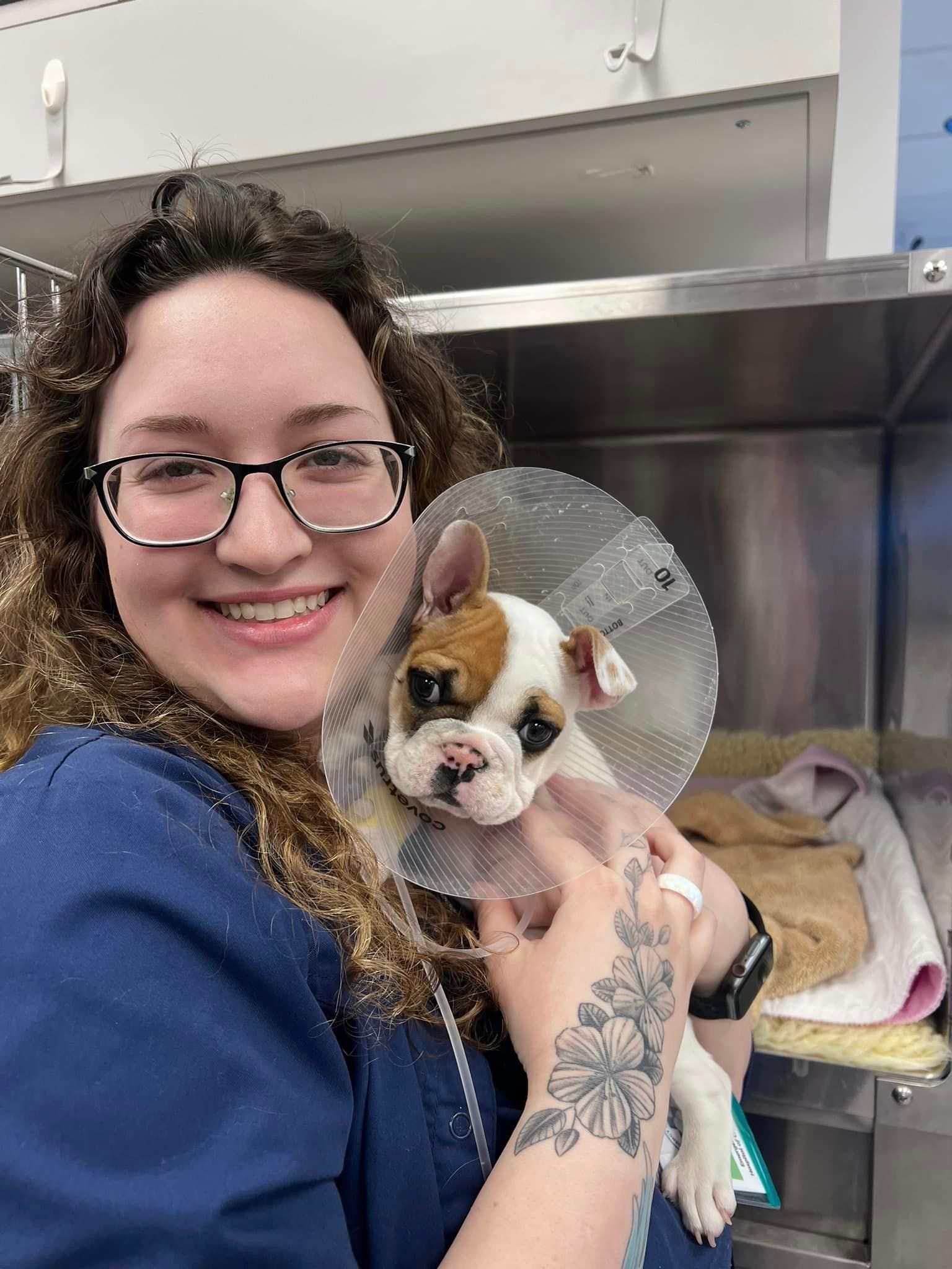 Animal Emergency Hospital Leander, TX TX