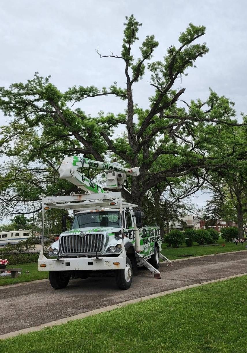 Project Gallery Top Notch Tree Service Inc