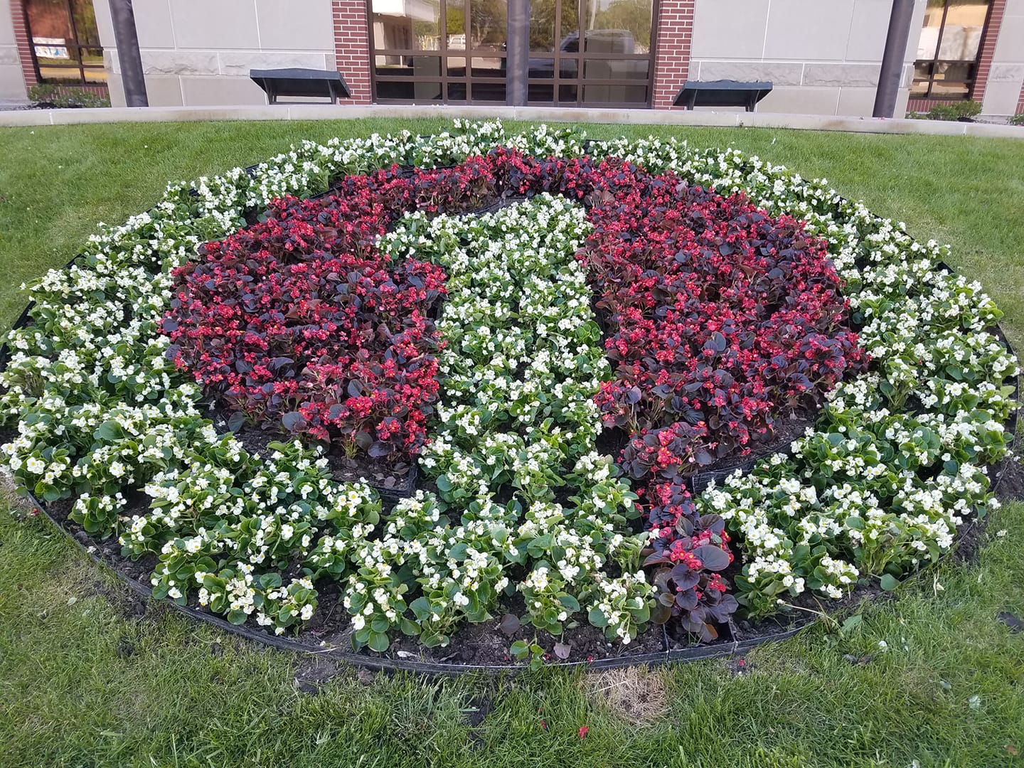 Landscaping Mullen Lawn Service Kearney, NE