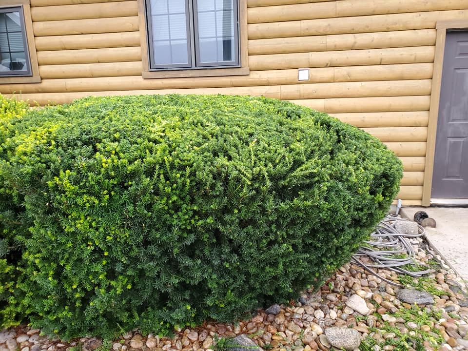 Landscaping Mullen Lawn Service Kearney, NE