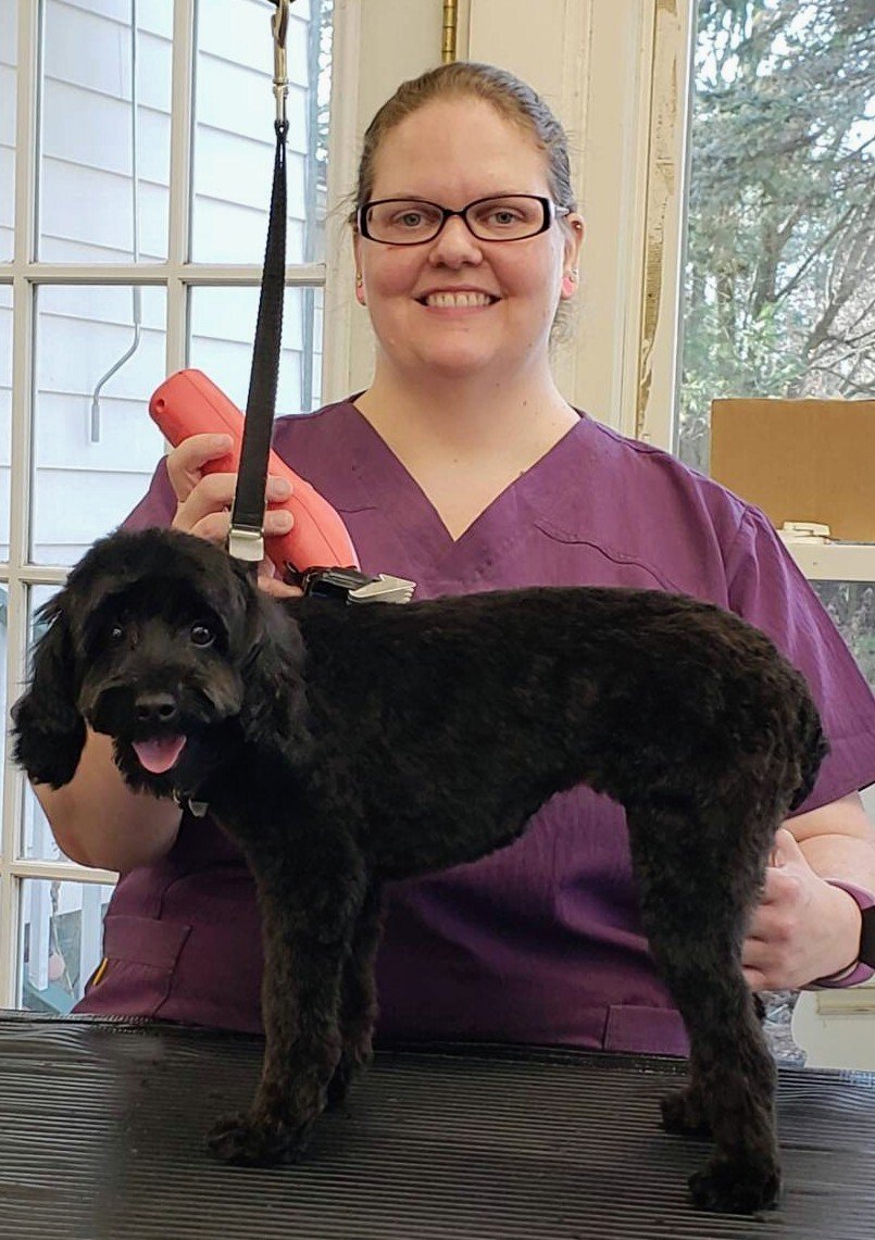 Pet Grooming Services Dog Groomer Phoenix, MD