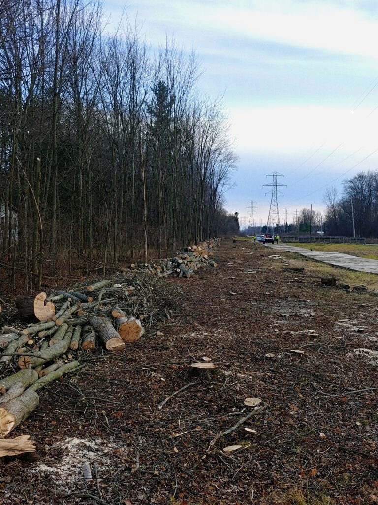 Quality Tree Service of West Michigan, Inc Comstock Park