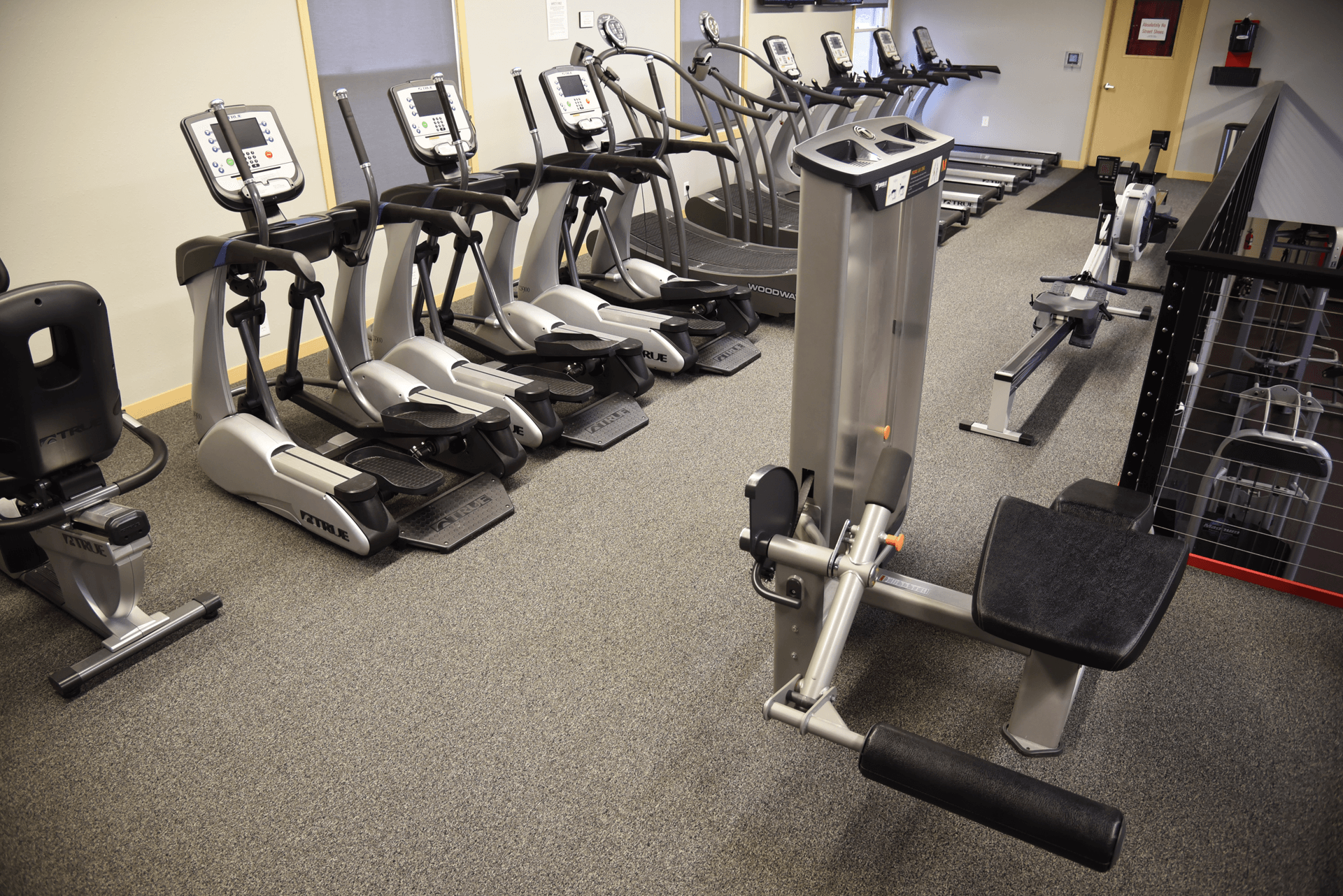 Level Up Fitness Fitness Coaching Stoughton, WI