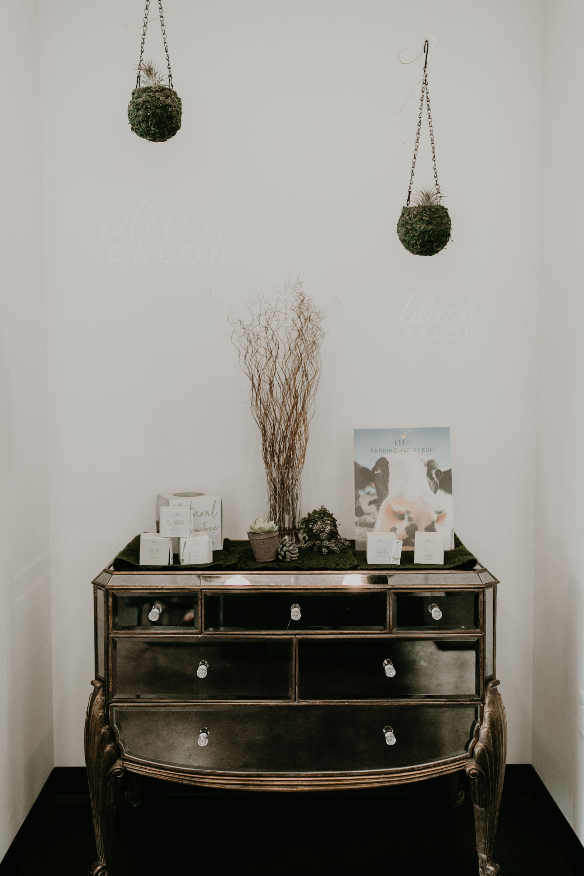 Blush Salon Hair Care Services Fargo, ND