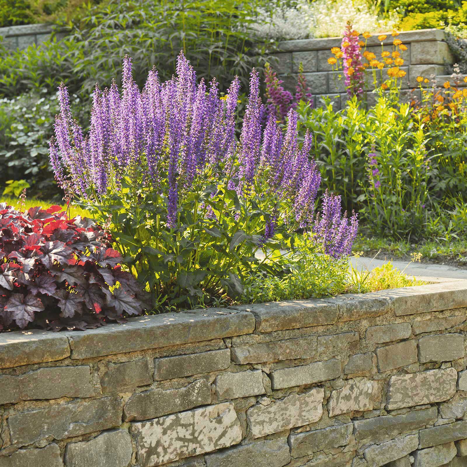 Roberto Affordable Land & Tree Service Watertown, MA