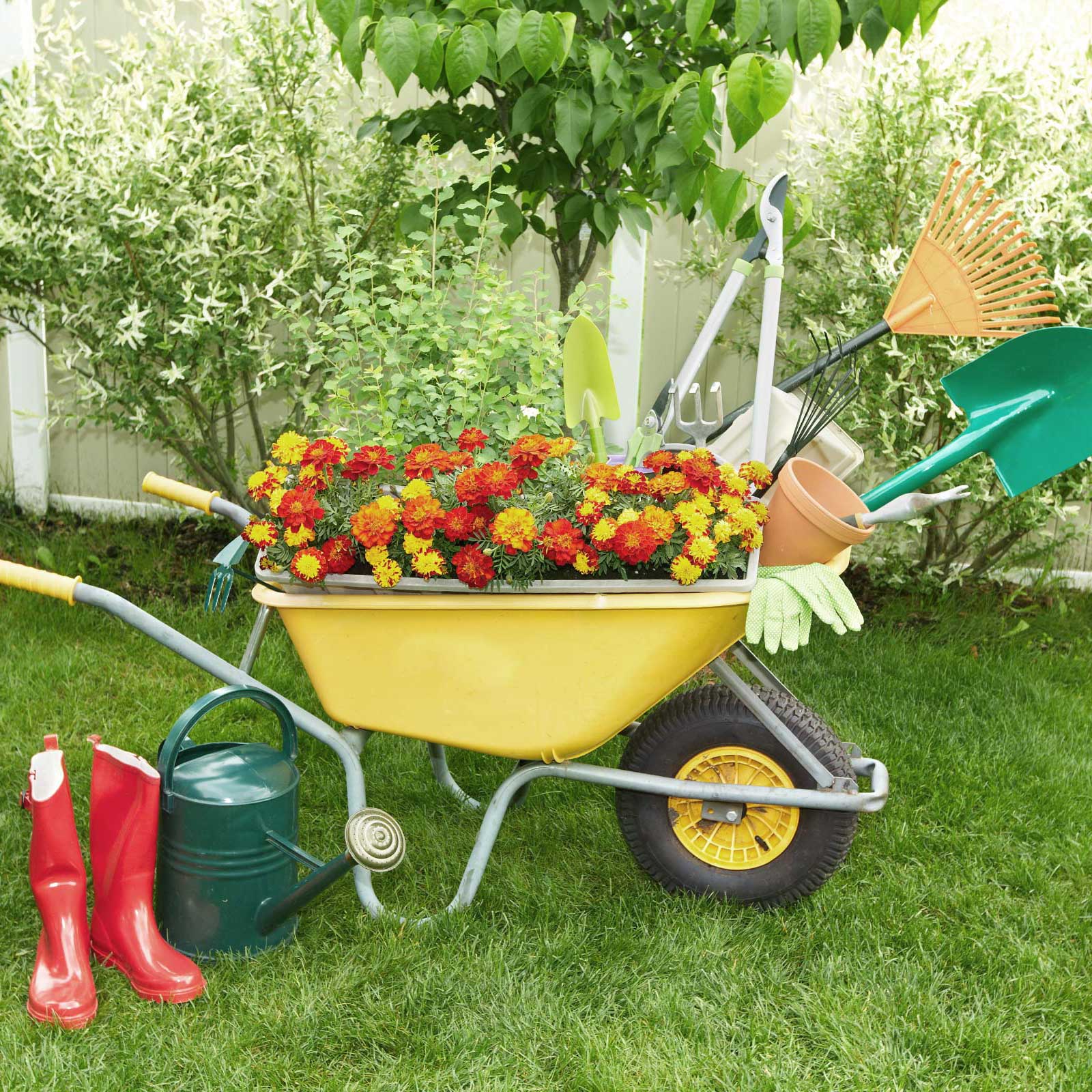 Roberto Affordable Land & Tree Service Watertown, MA