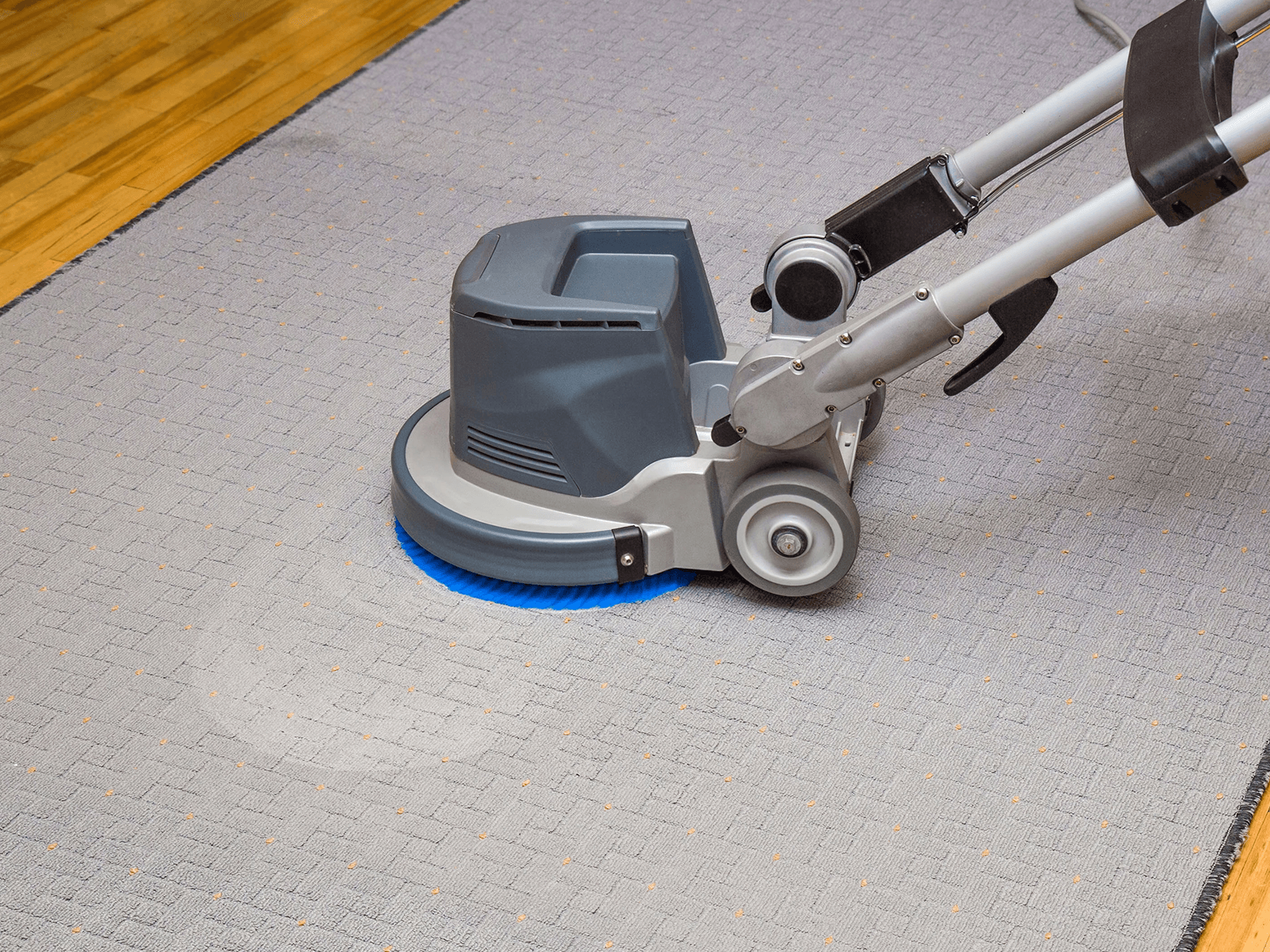 Reliable Carpet Cleaning Area Rug Cleaning Liverpool, NY