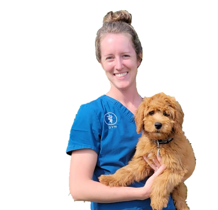 About Effingham Veterinary Clinic Effingham, IL Vets