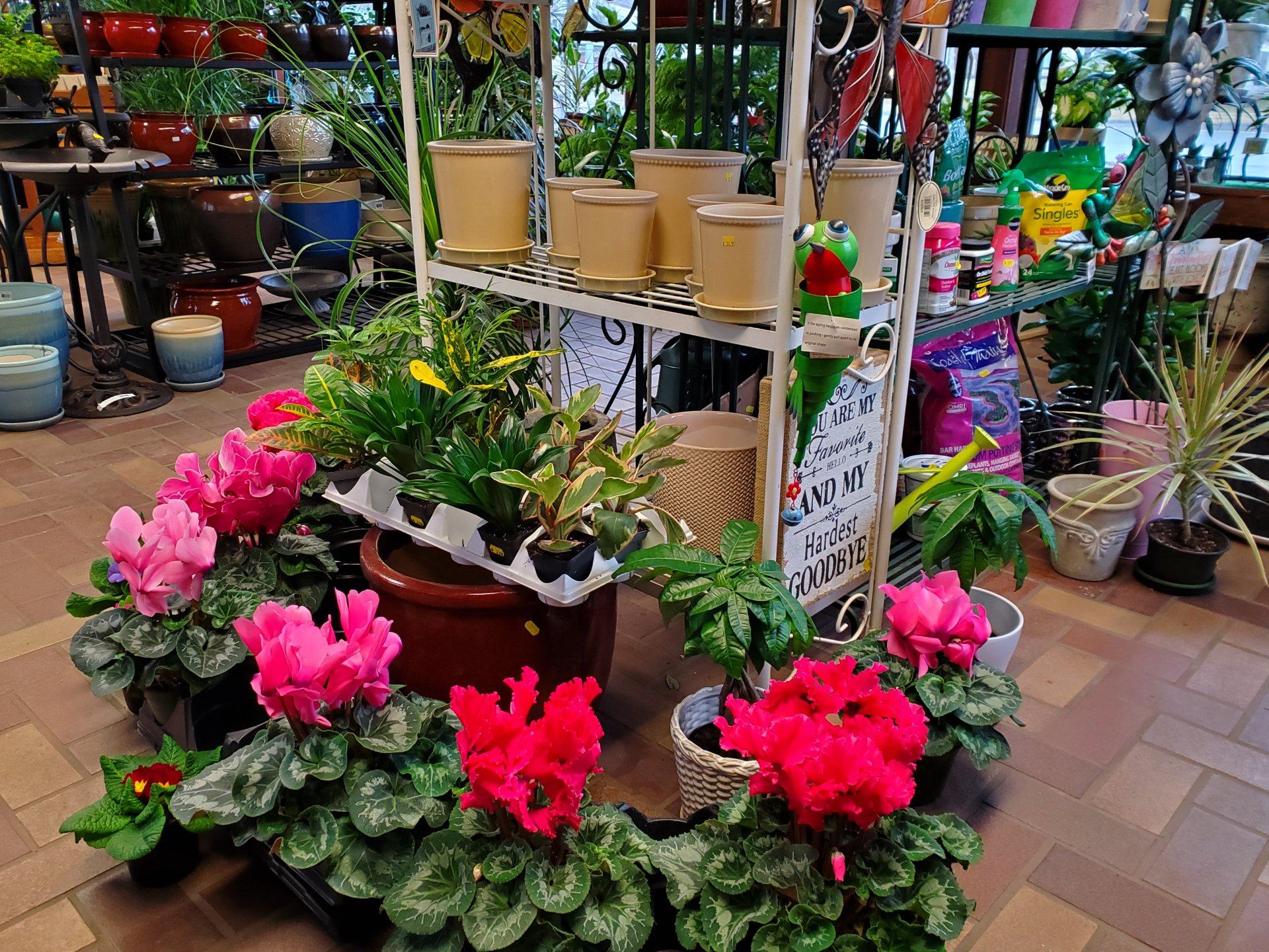 Bell Nurseries Inc Photo Gallery North Haven, CT