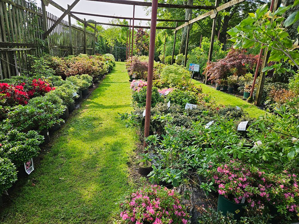 Bell Nurseries Inc Photo Gallery North Haven, CT