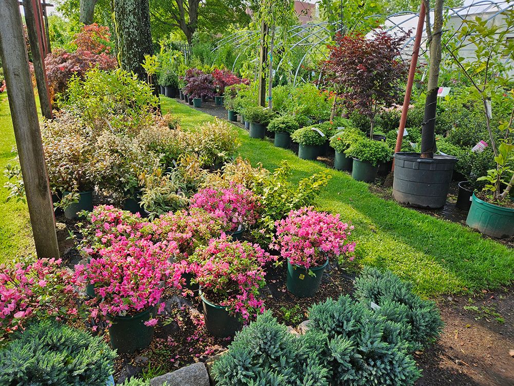 Bell Nurseries Inc Photo Gallery North Haven, CT