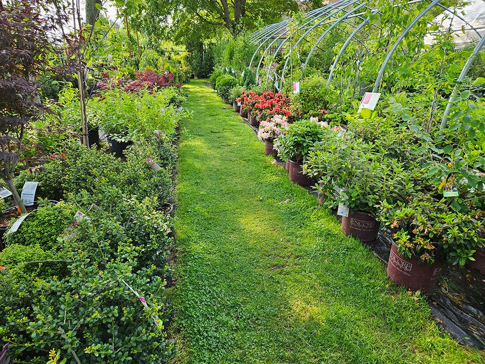 Bell Nurseries Inc Photo Gallery North Haven, CT