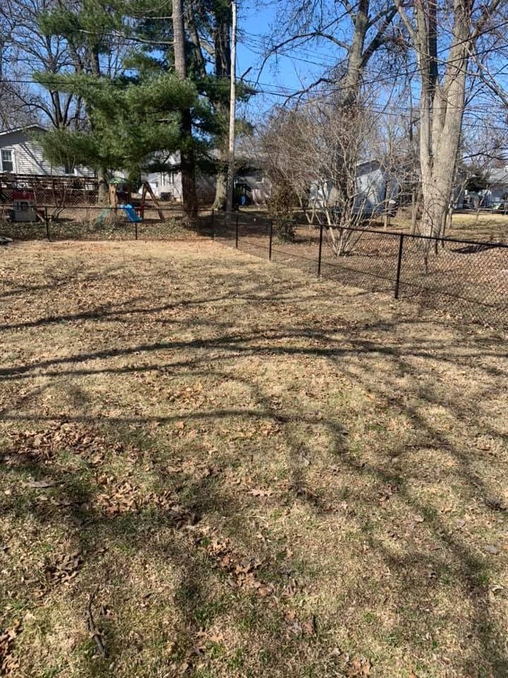 A fenced-in backyard with dry grass, scattered dead leaves, and bare trees under a clear blue sky.