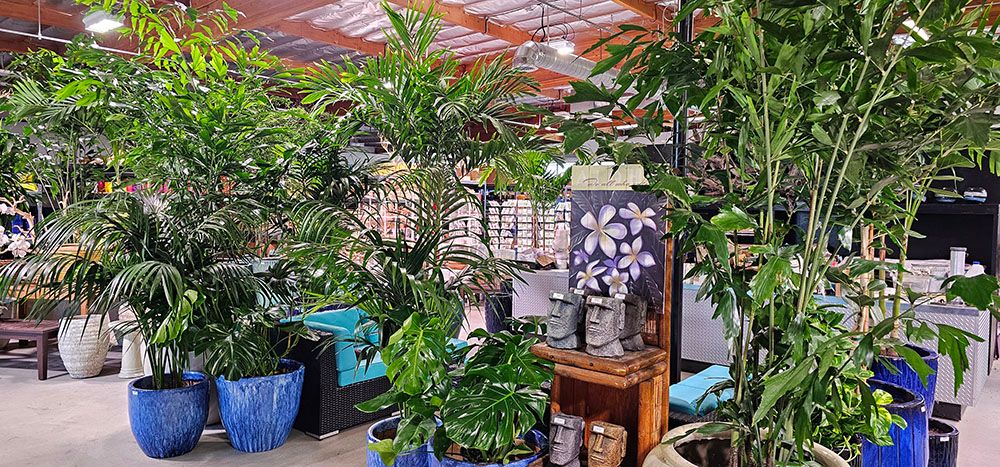 Garden Center Near Me | Deep Roots Garden Center