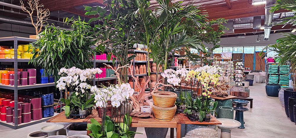 Garden Center Near Me | Deep Roots Garden Center