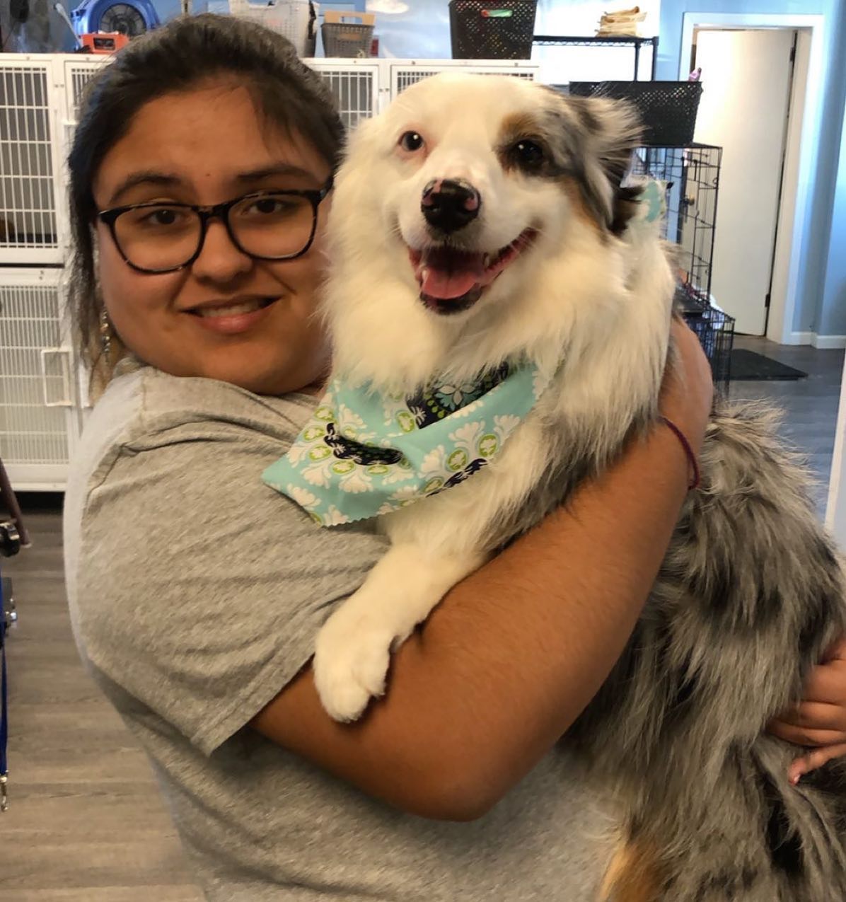 Photo Gallery Doggie Depot