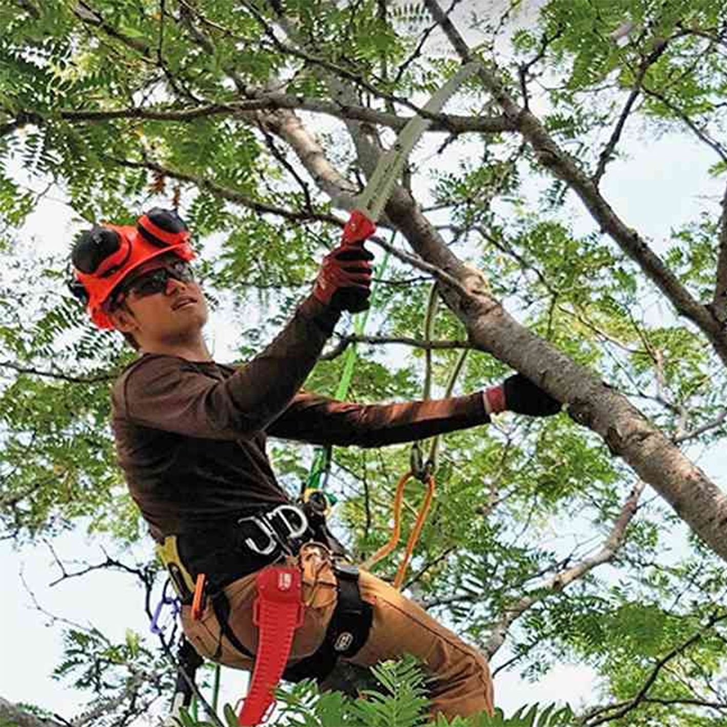 Tree Services Waukesha, WI | Waukesha, WI