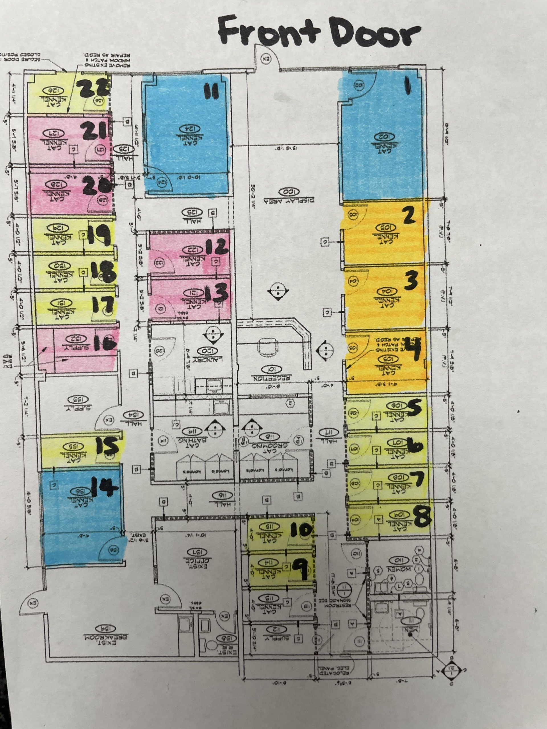 Cat Boarding Services Cageless Boarding Omaha, NE