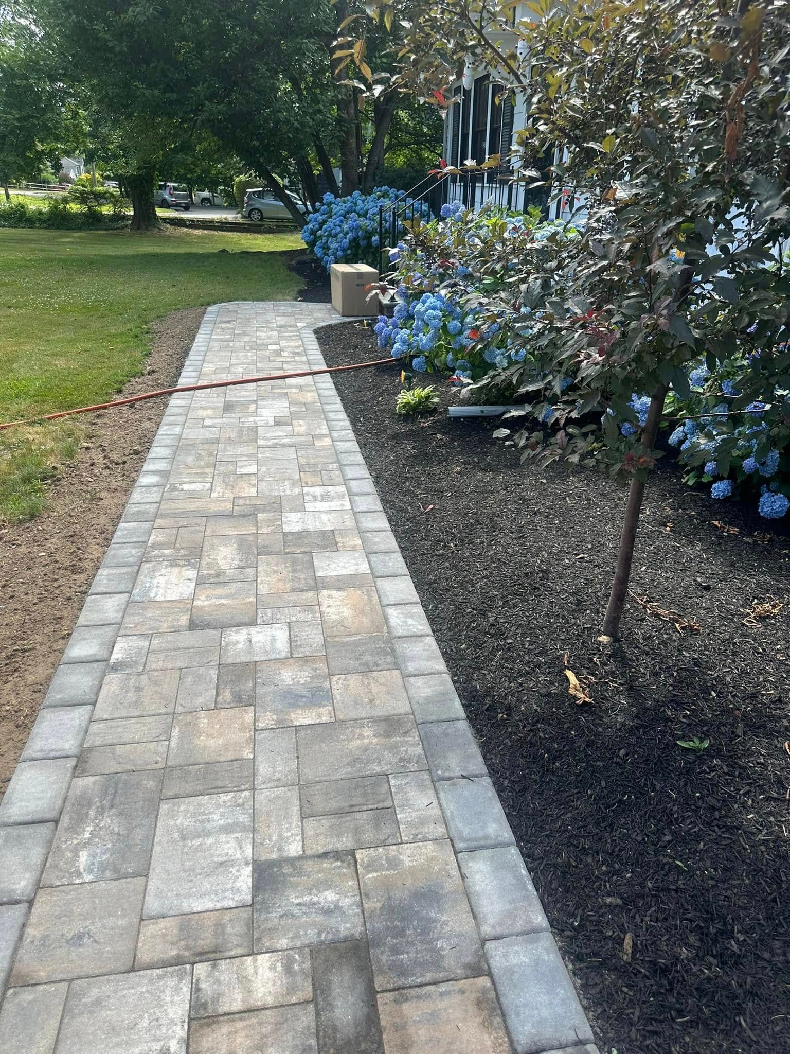 Brick walkway alongside dark mulch and blue hydrangeas, leading to a house.