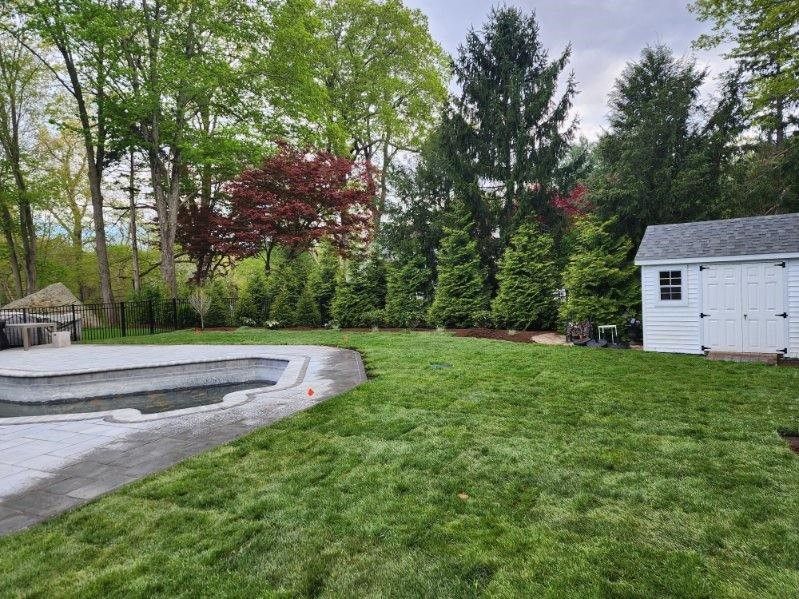 A backyard with a shed and a pool surrounded by trees.