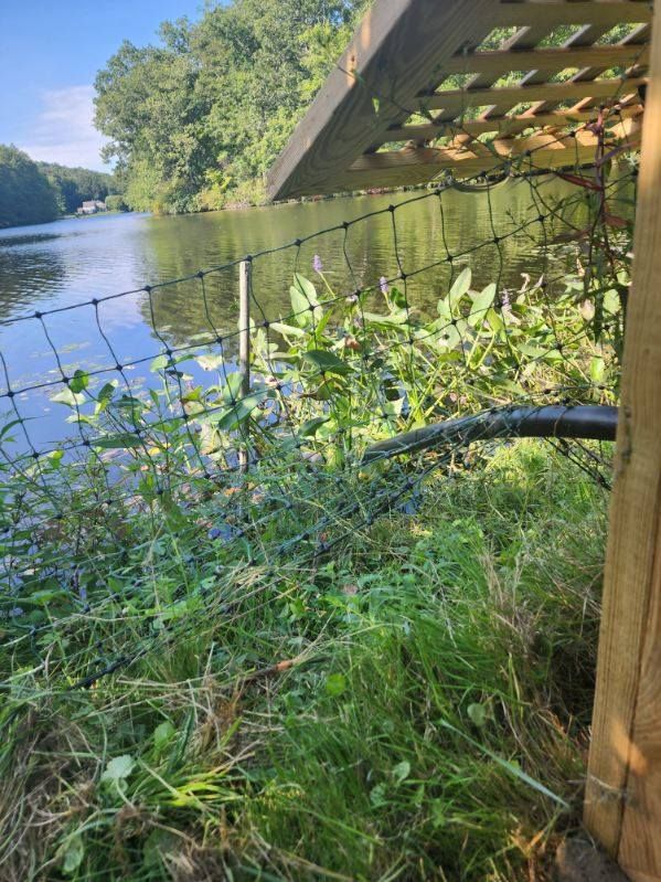 A barbed wire fence surrounds a body of water.