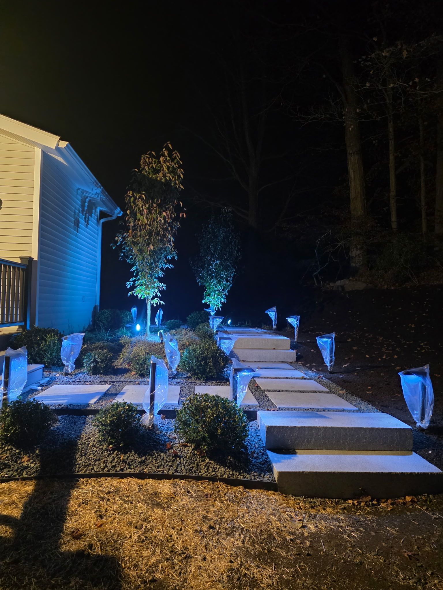 Night view of lit garden steps leading up to a house; blue lights illuminate the steps and surrounding foliage.