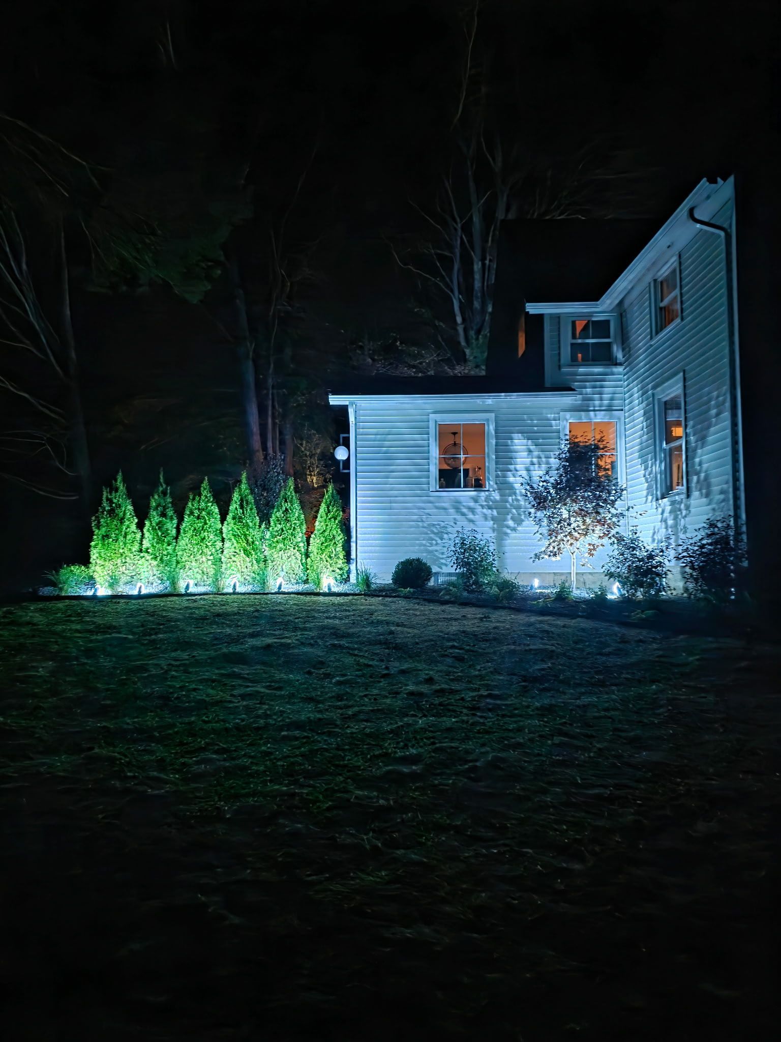 Nighttime view of a house with illuminated landscaping and lit windows, set against a dark forest backdrop.