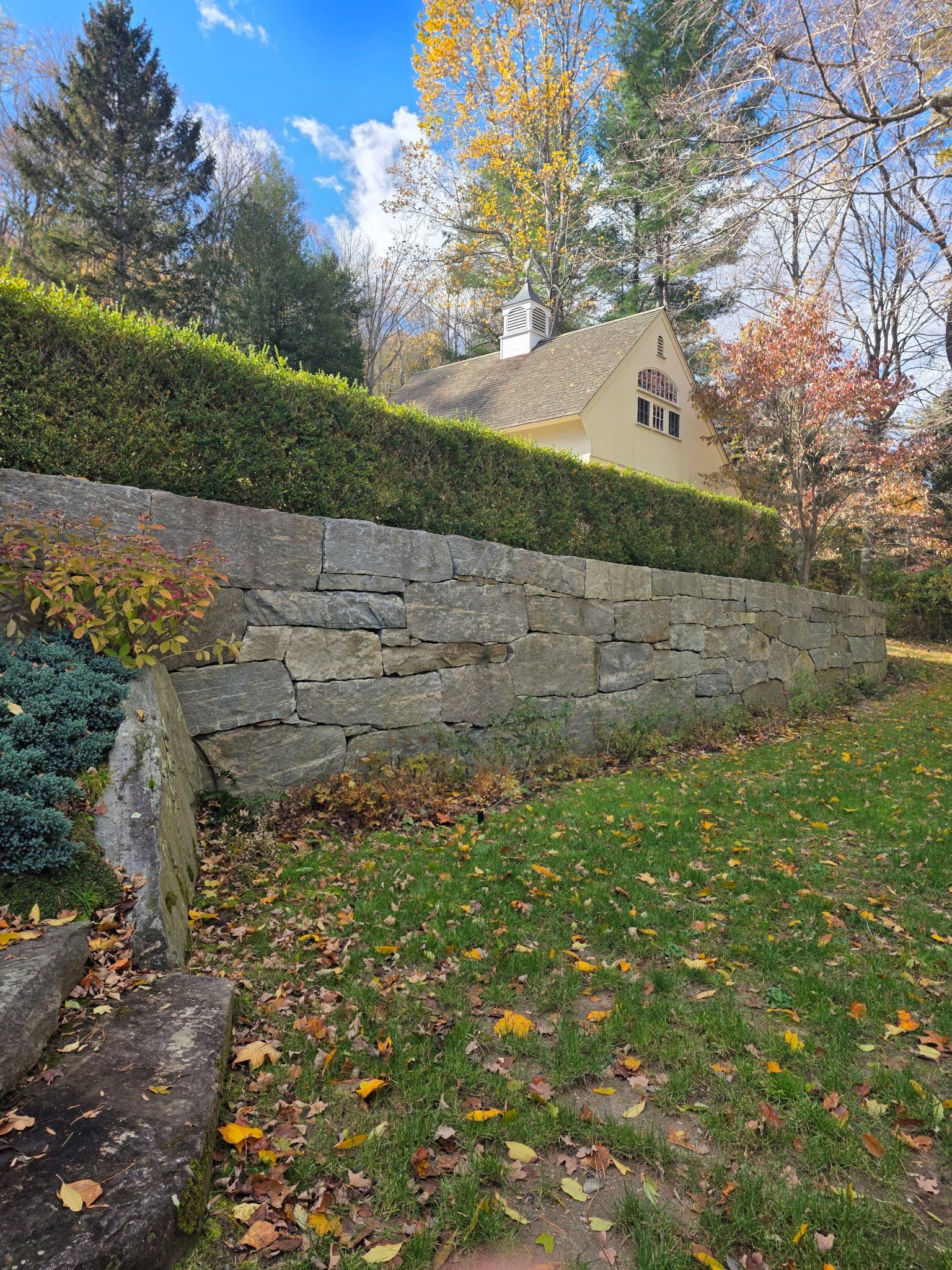Stone wall topped with green hedge in front of a light yellow building, autumn foliage scattered on the grass.