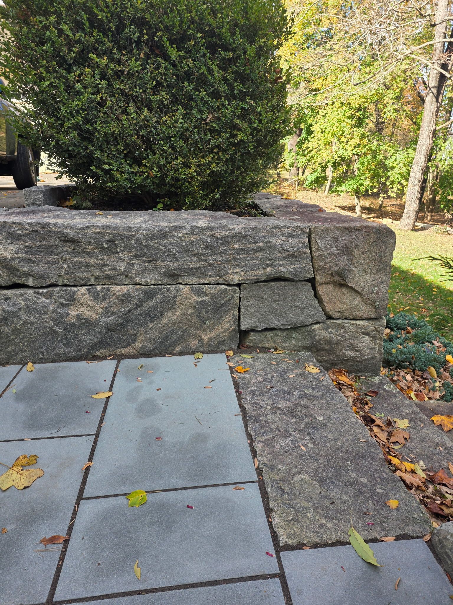 Stone wall with a rounded corner and a green bush on top, next to a paved patio with scattered leaves.