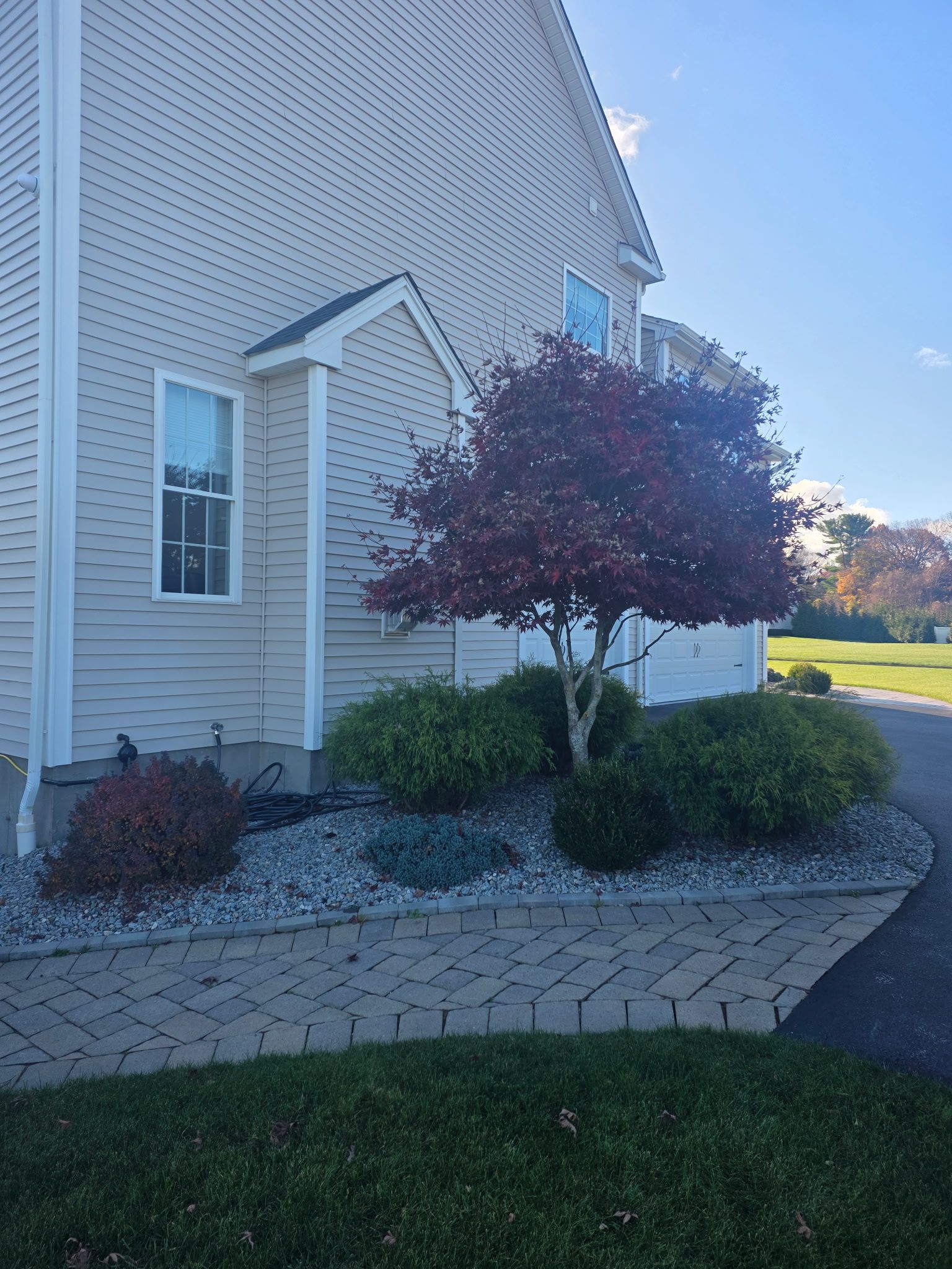 Side of a light-colored house with a tree and bushes in front, on a brick border.