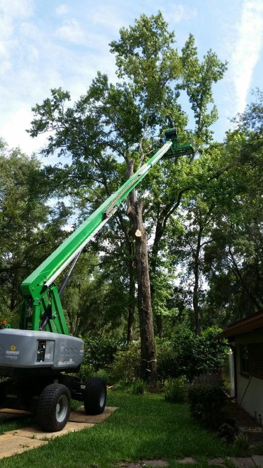Johnson & Sons Tree Service, LLC Tree Care Gainesville FL