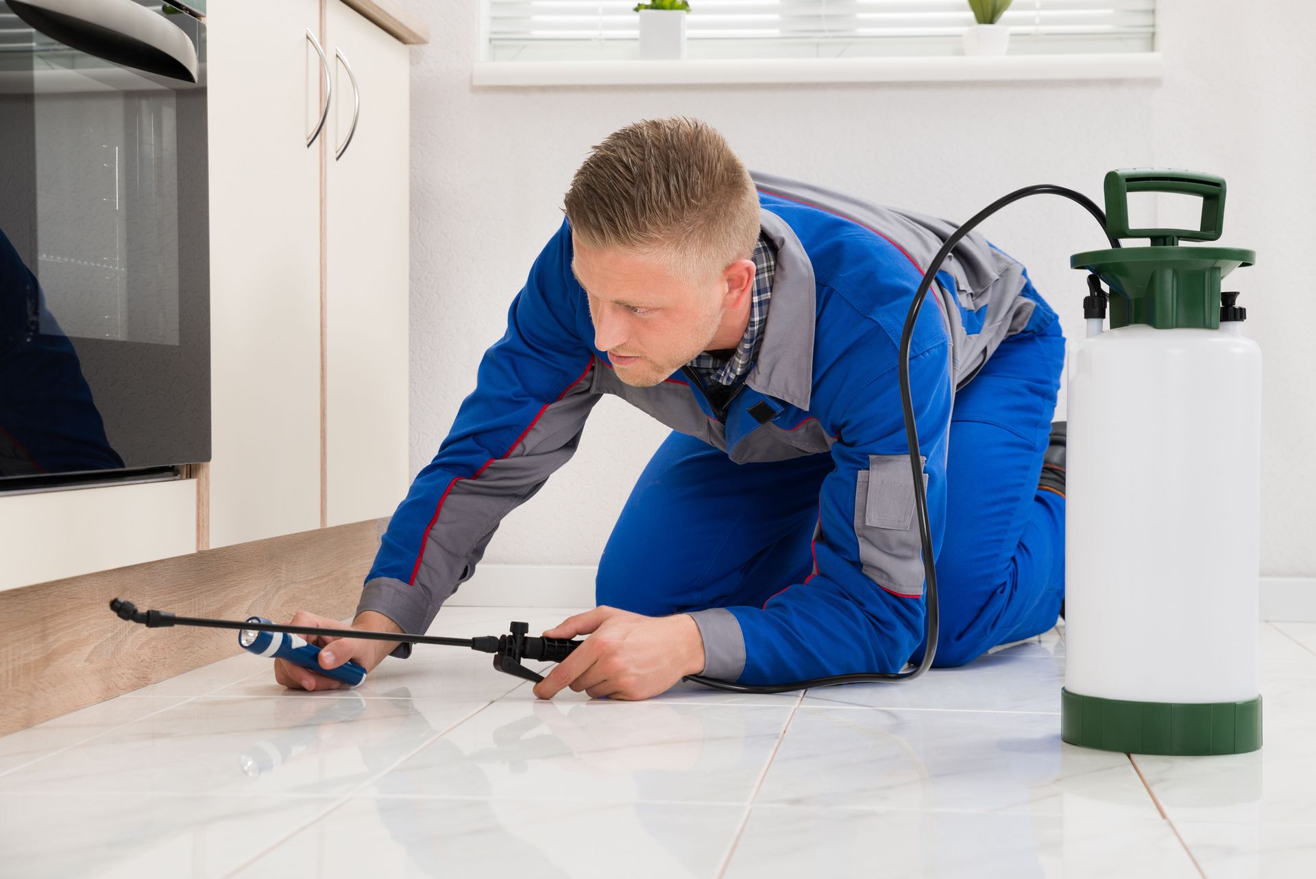 Commercial Pest Control