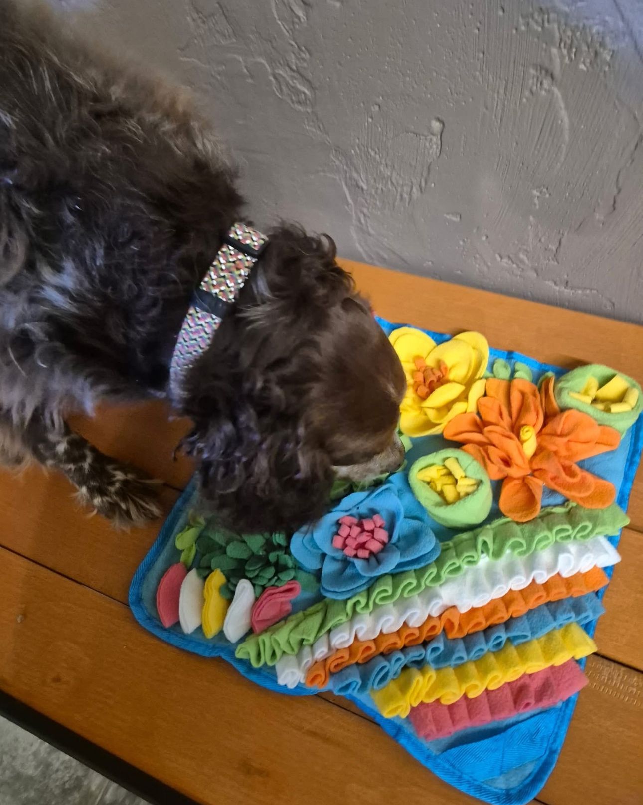 Dog with jeweled collar sniffing colorful snuffle mat on wooden table.