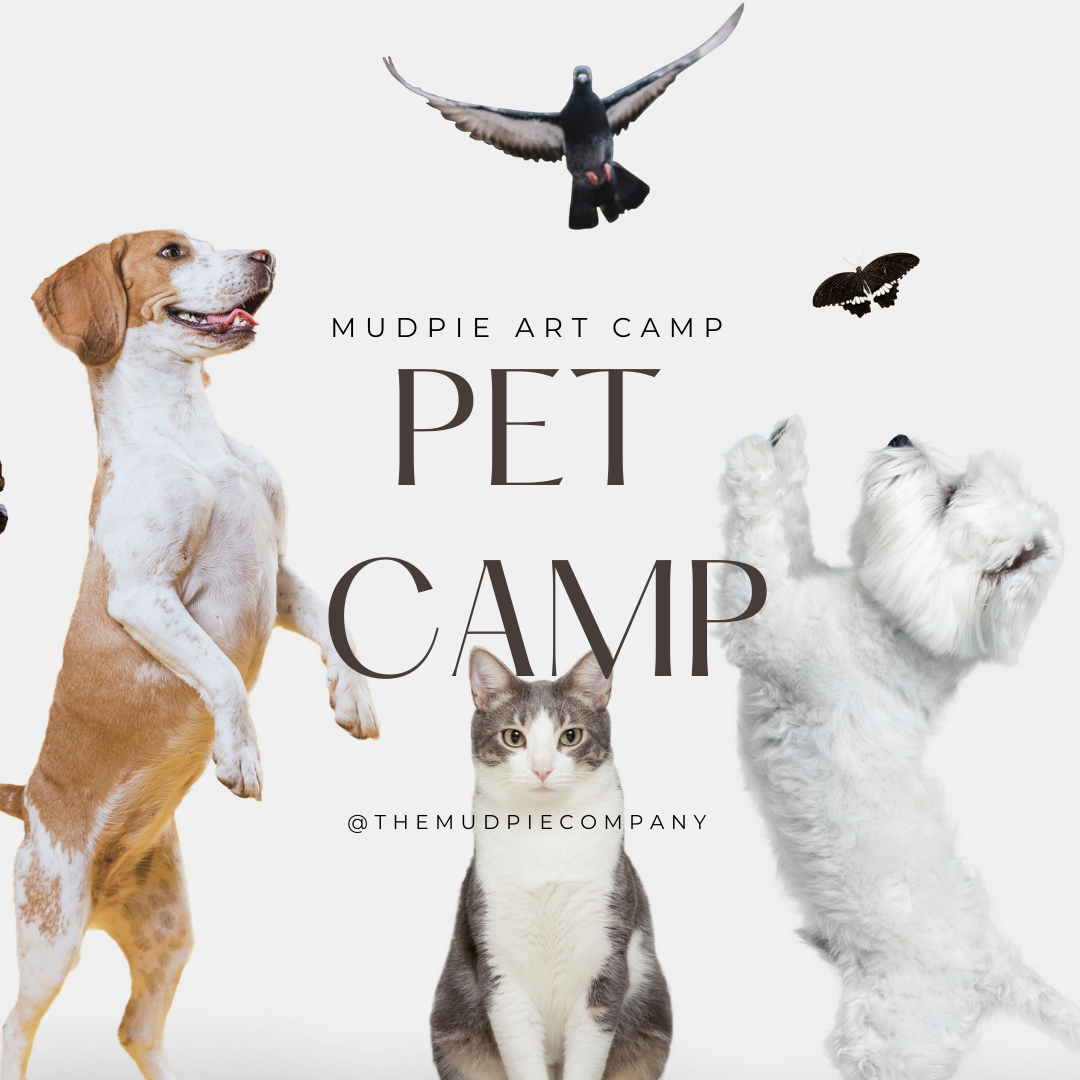 Pottery Camps & Classes Kingwood & Houston, TX