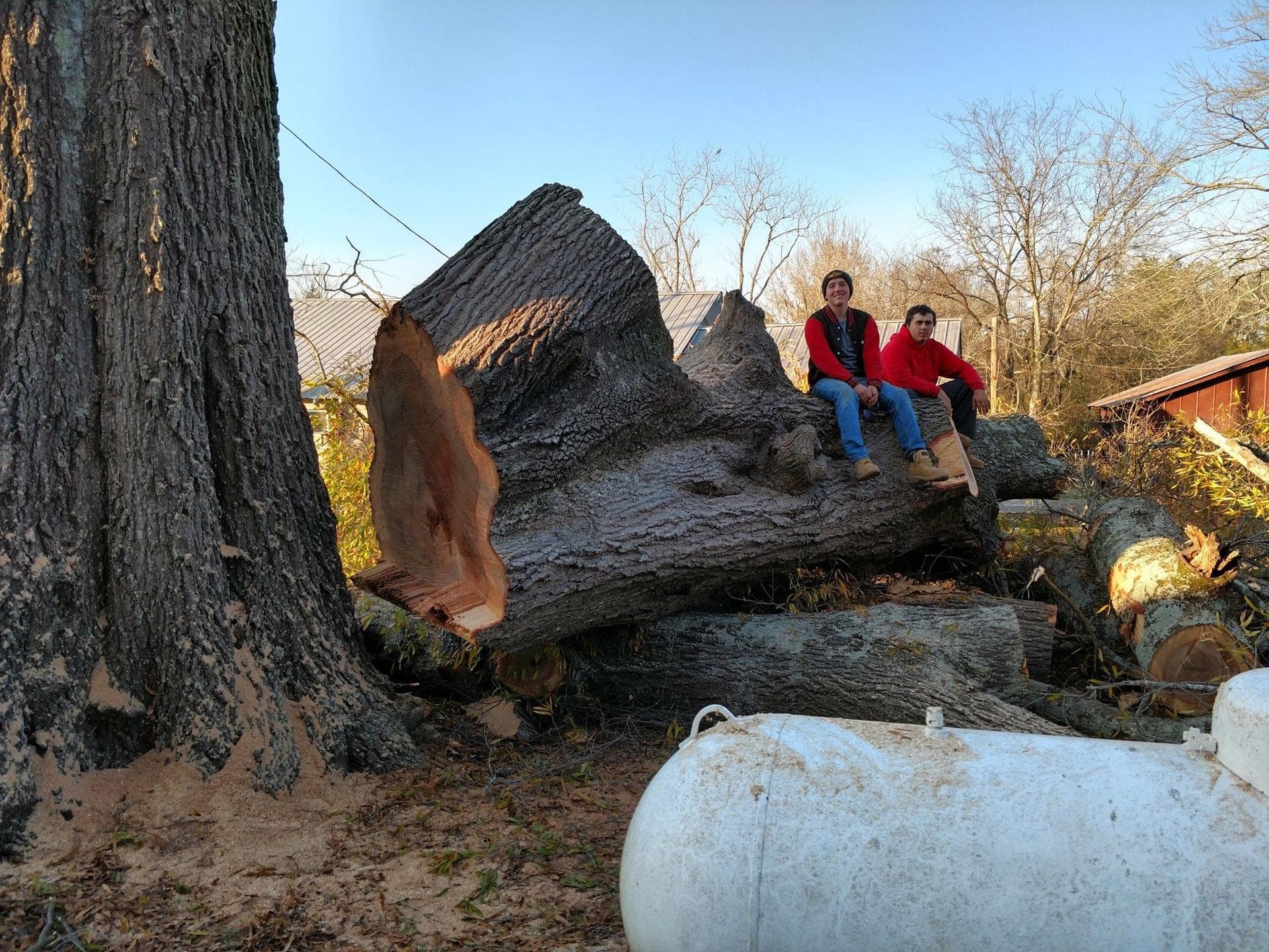 Tree Services Ooltewah, TN Paul Bunyan Tree Service