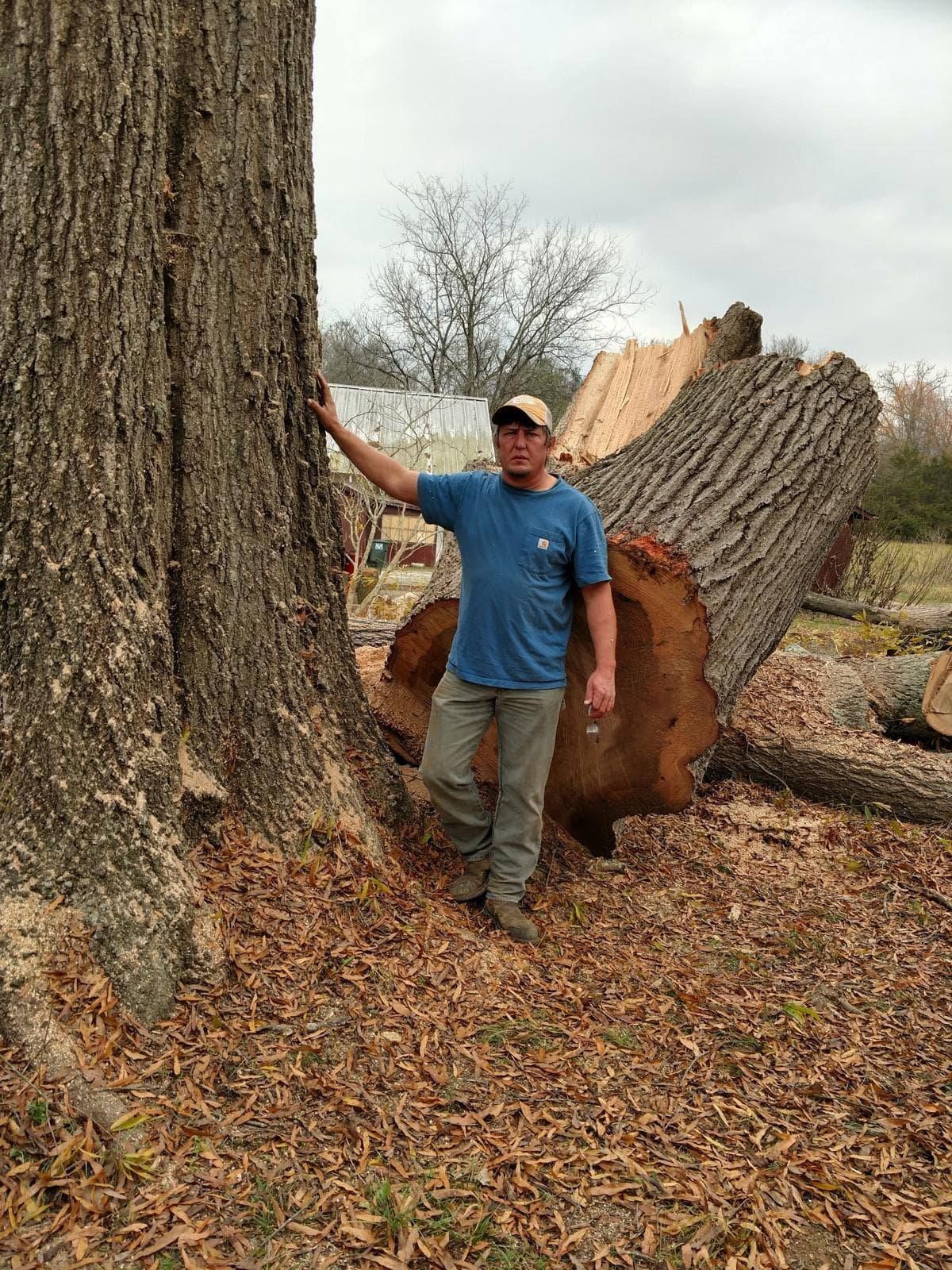 Project Gallery Paul Bunyan Tree Service