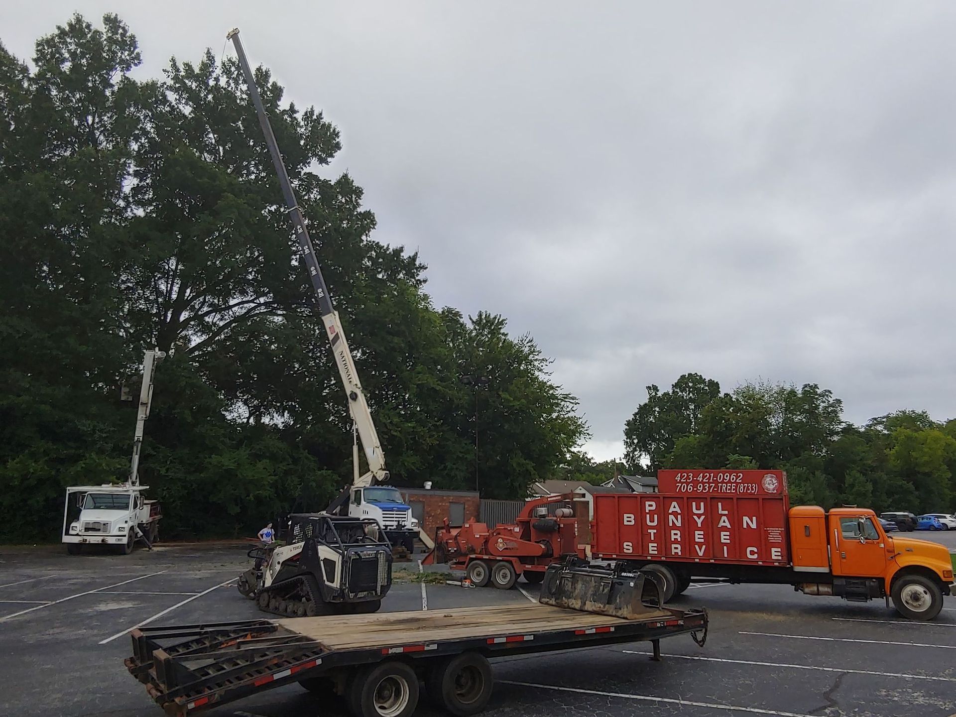 Tree Services Ooltewah, TN Paul Bunyan Tree Service