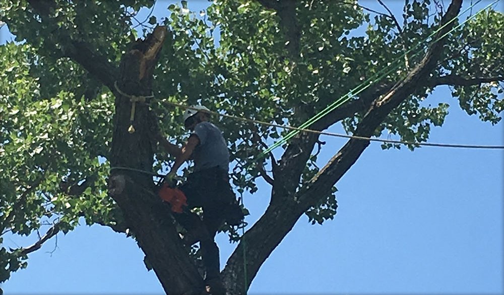 About Custom Cutters Tree Service Emporia, KS Landscaping