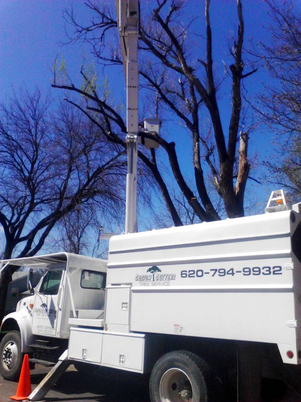 Custom Cutters Tree Service Photo Gallery Emporia, KS