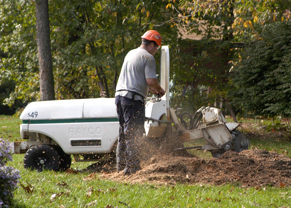 Custom Cutters Tree Service Arborist Emporia, KS