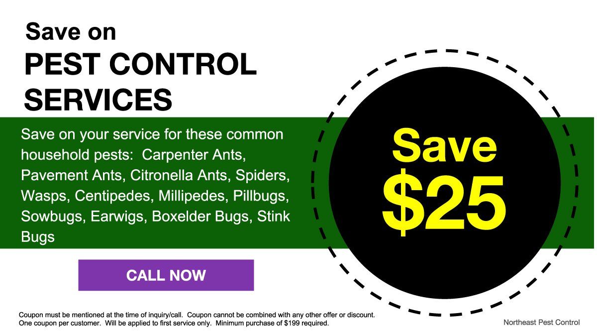 Specials Northeast Pest Control Inc