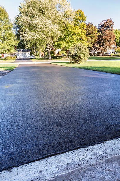 Newly paved asphalt driveway with a slight sheen, leading towards green trees and houses on a sunny day.