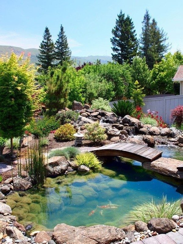Mud Monsters Pond and Landscape Supply Pond Supplies Albuquerque