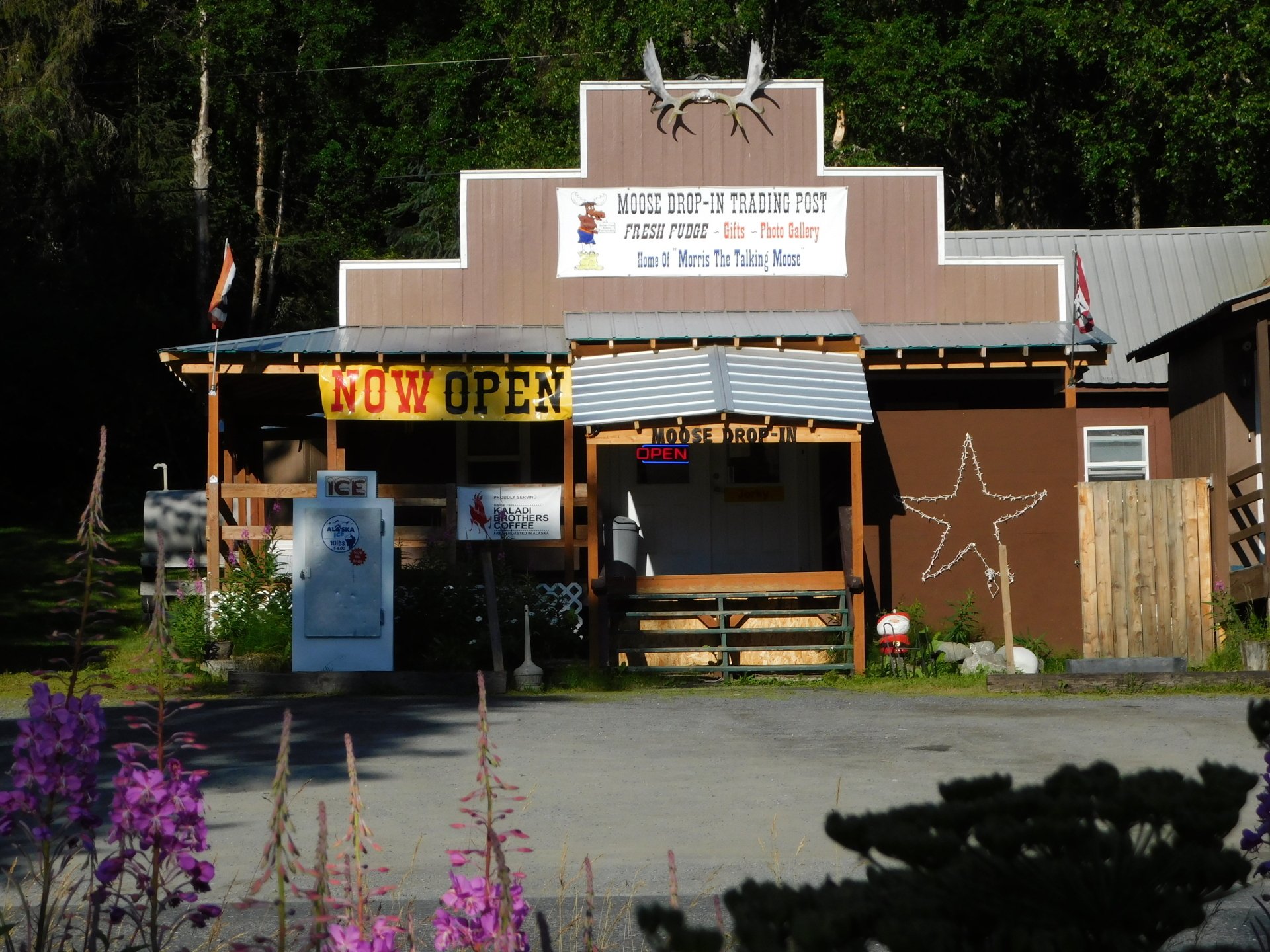 Moose DropIn Trading Post Gift Store Moose Pass, AK