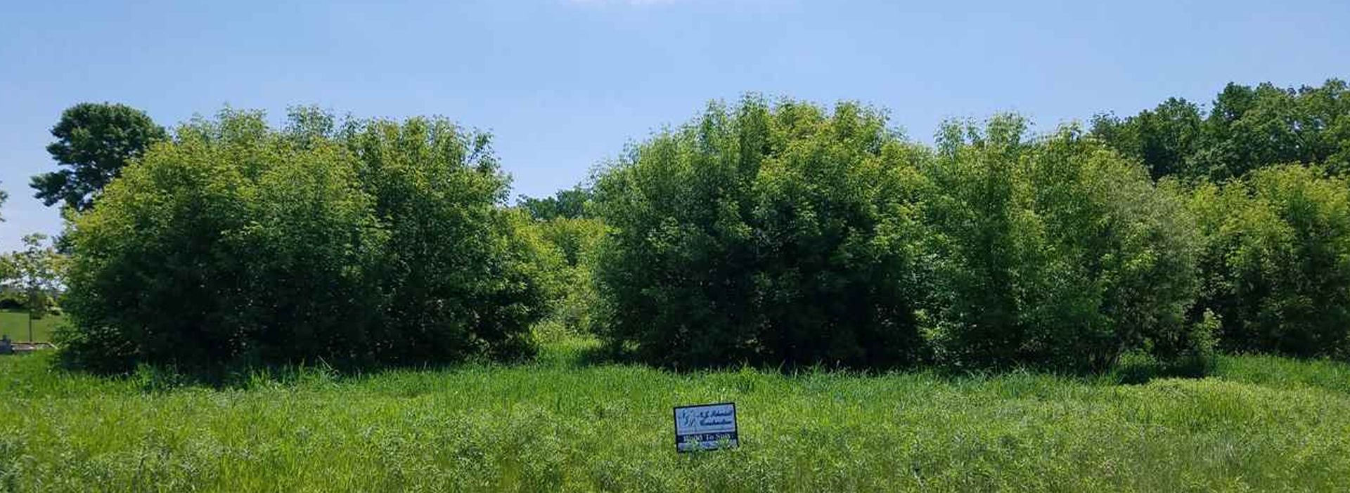 Custom Home Lot Sales Winnebago and Calumet County, WI